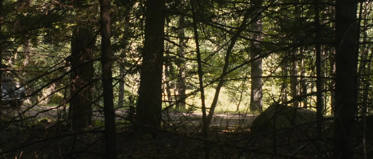 Lost on a Mountain in Maine screenshot 1