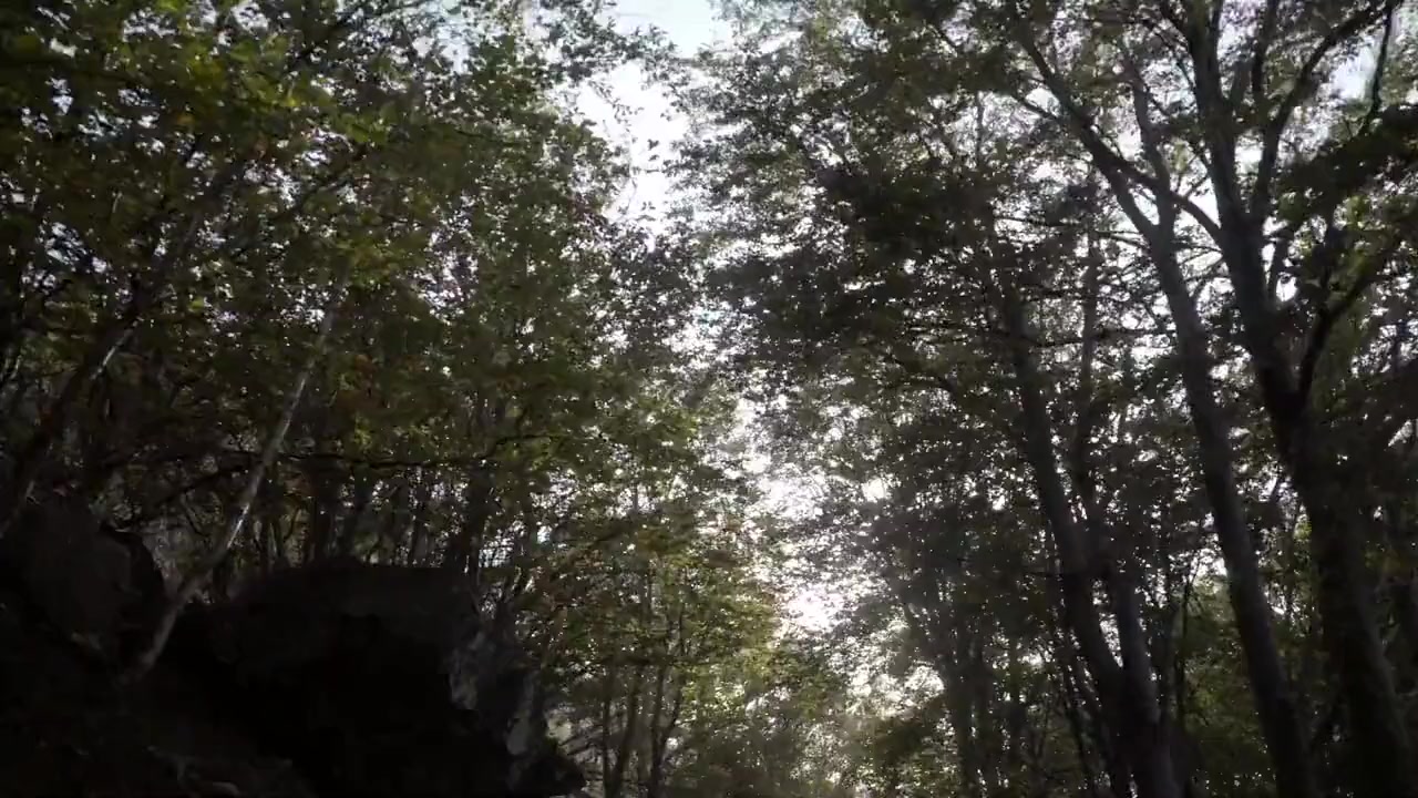 L'oste a pedali screenshot 1