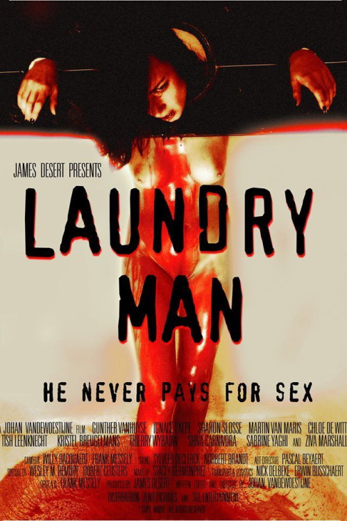 Laundry Man (2016) poster