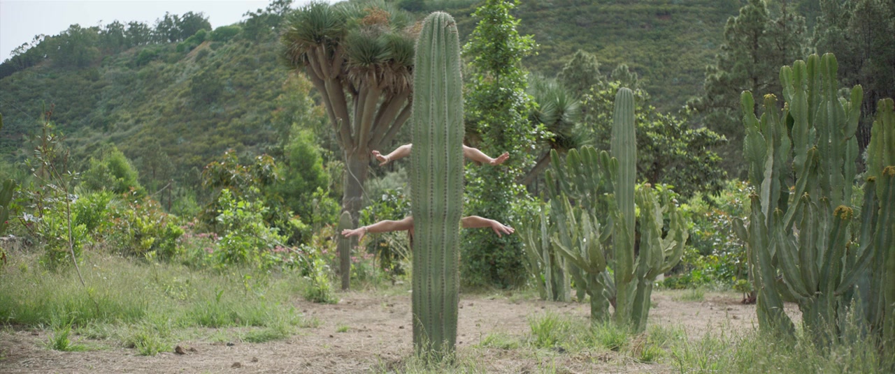 La casa entre los cactus screenshot 1