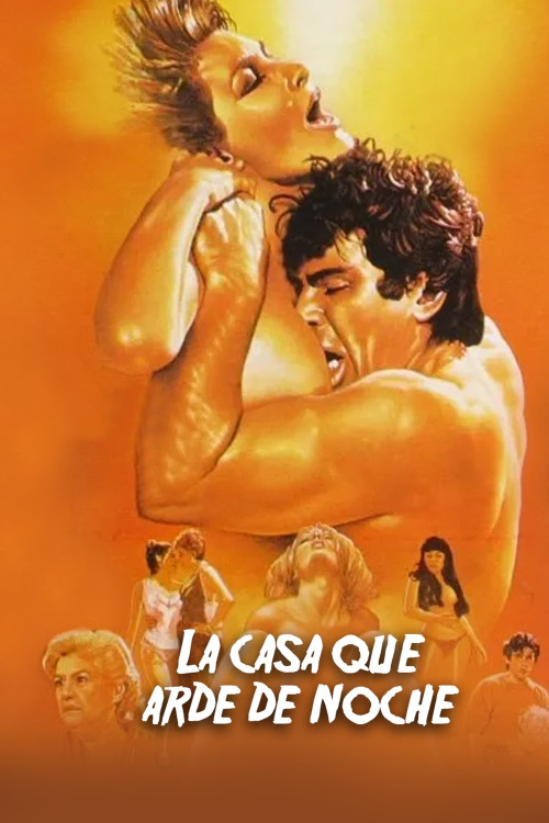 La casa que arde de noche (1987) poster
