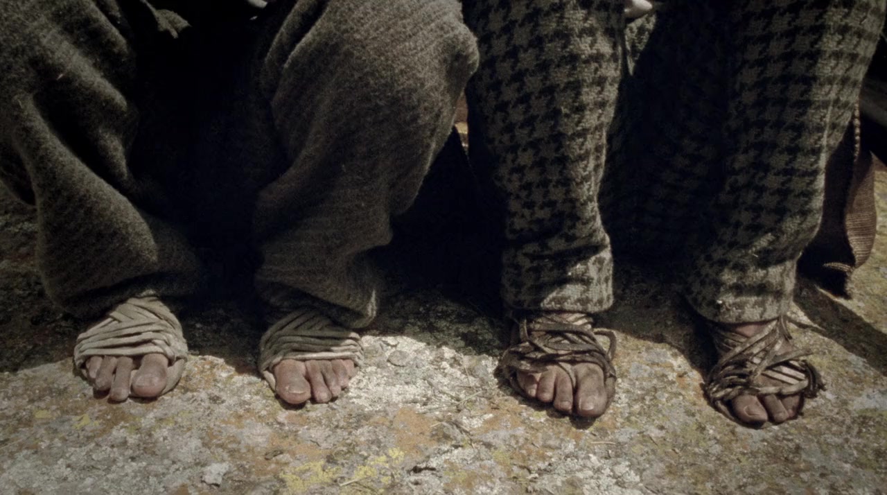 La cebra screenshot 1