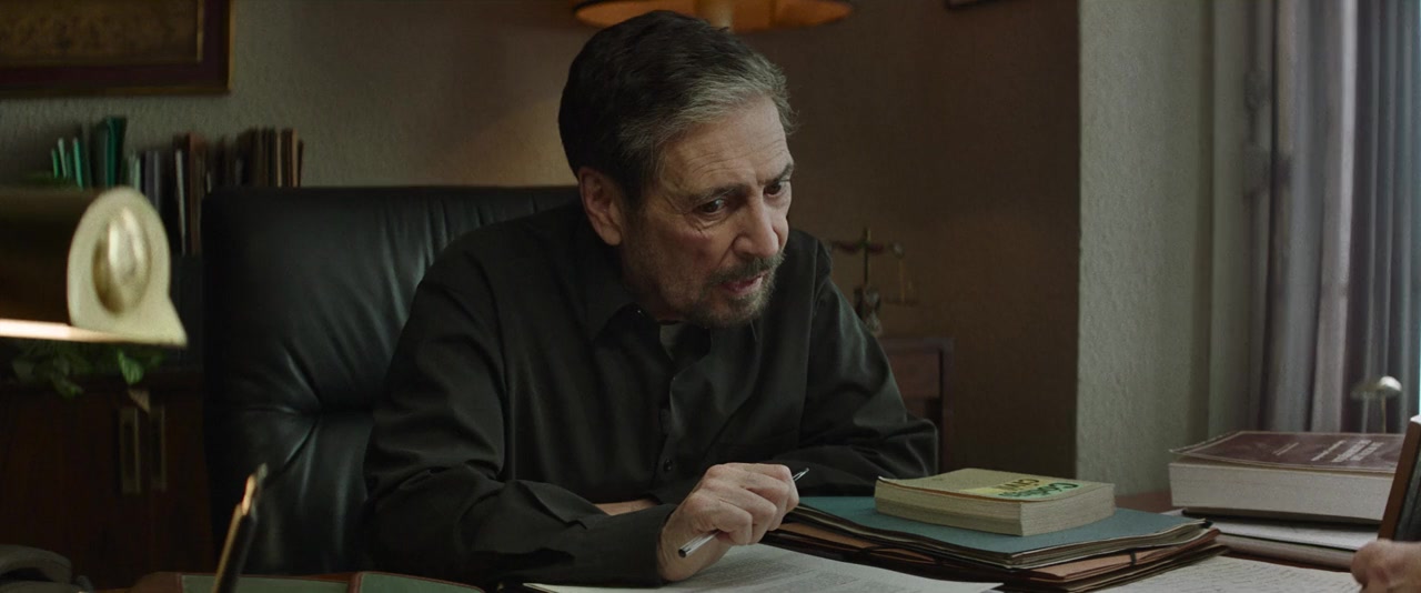 La dona il·legal screenshot 3