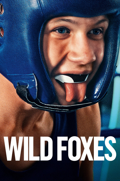 La danse des renards (2025) poster