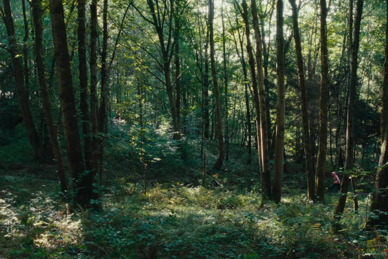 La danse des renards screenshot 1