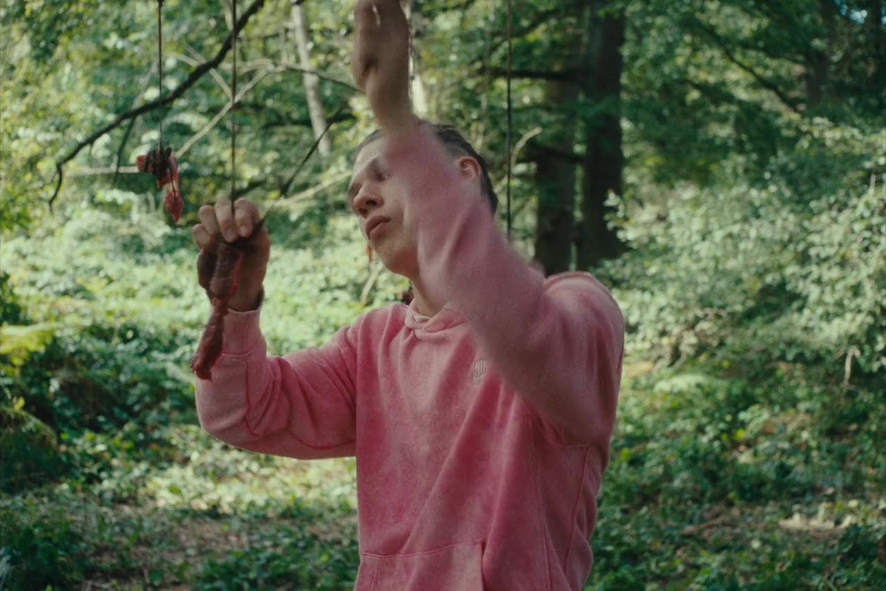 La danse des renards screenshot 3
