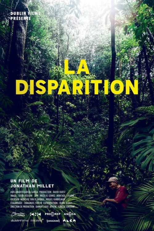 La Disparition (2020) poster