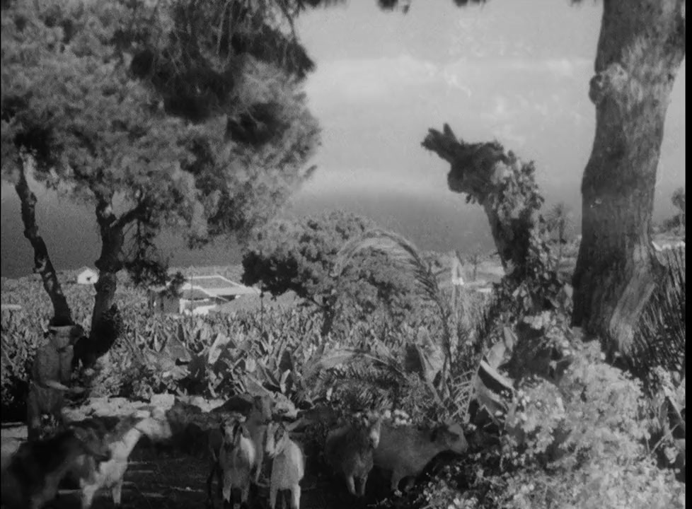 La Habanera screenshot 1