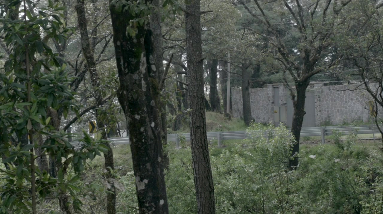 La jaula screenshot 2