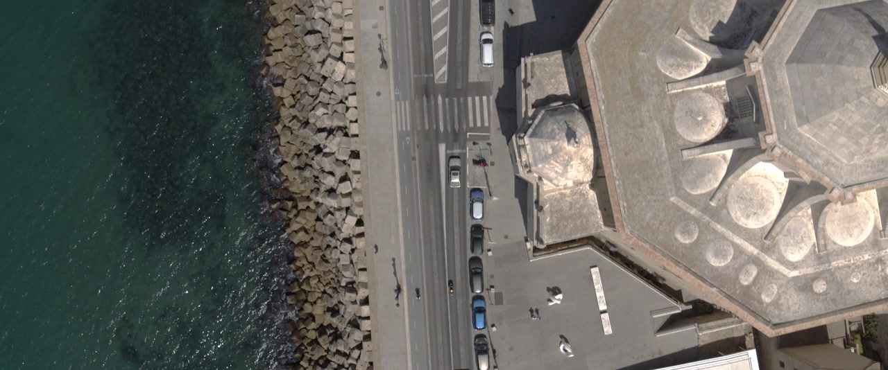 La maniobra de la tortuga screenshot 1