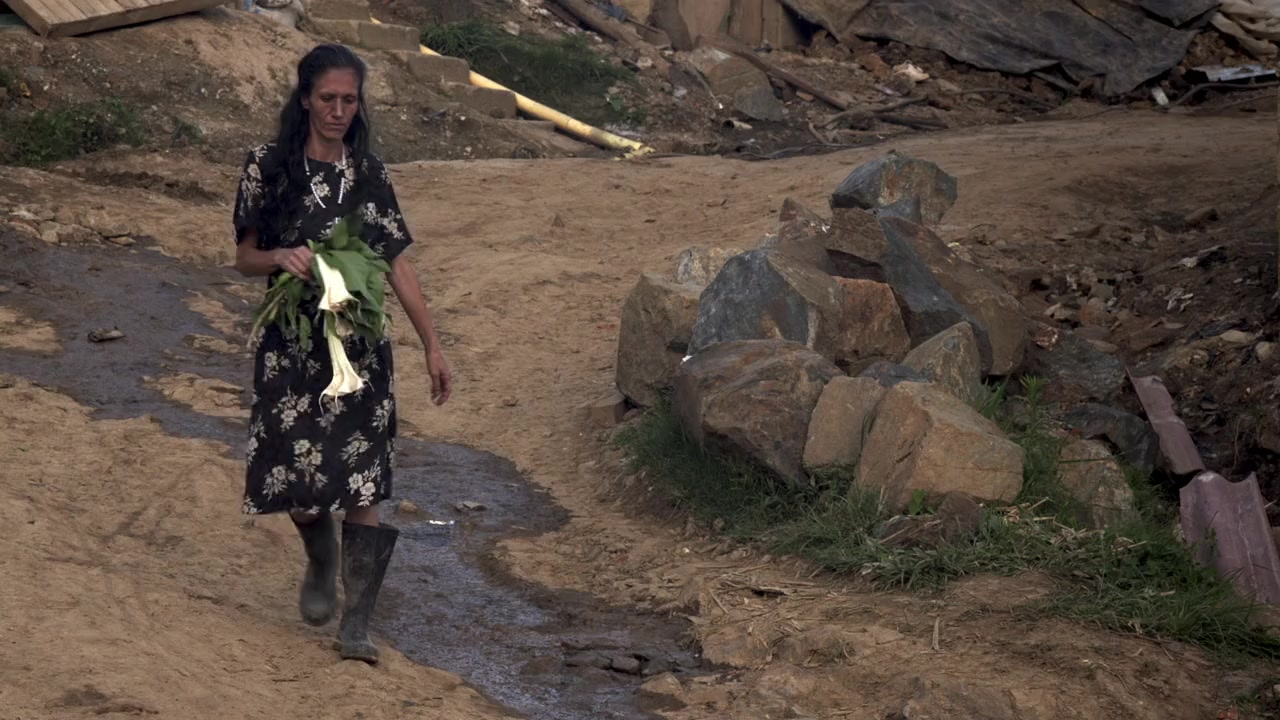 La mujer del animal screenshot 1