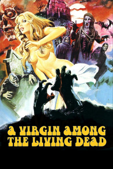 La nuit des étoiles filantes (1973) poster