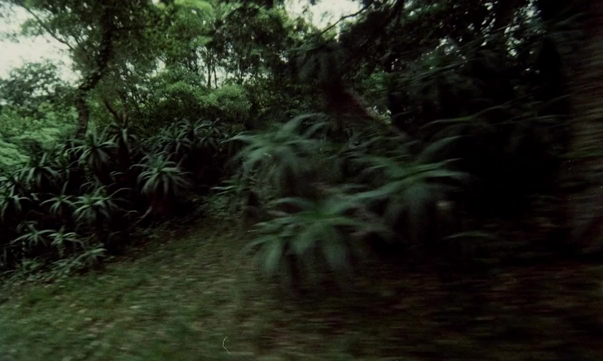 La nuit des étoiles filantes screenshot 2
