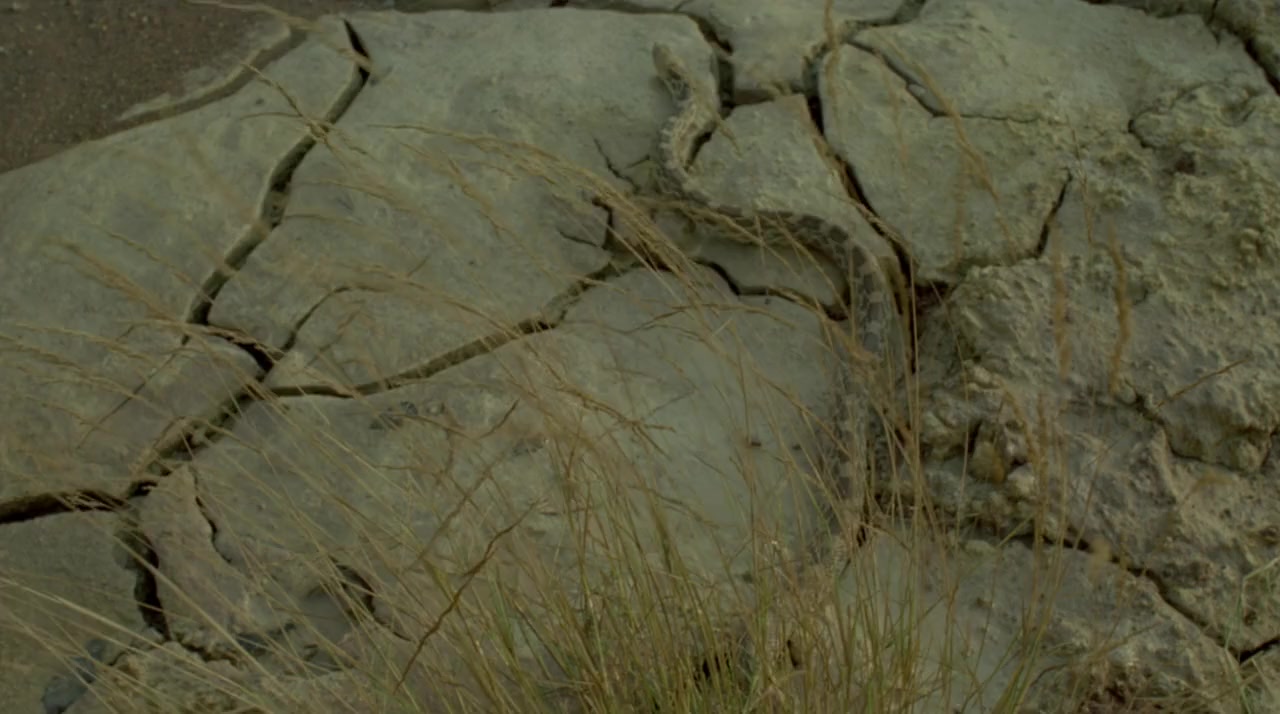 La setta screenshot 3