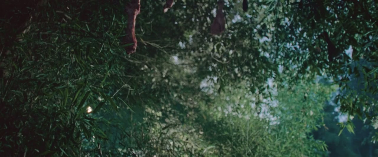La Patasola screenshot 1