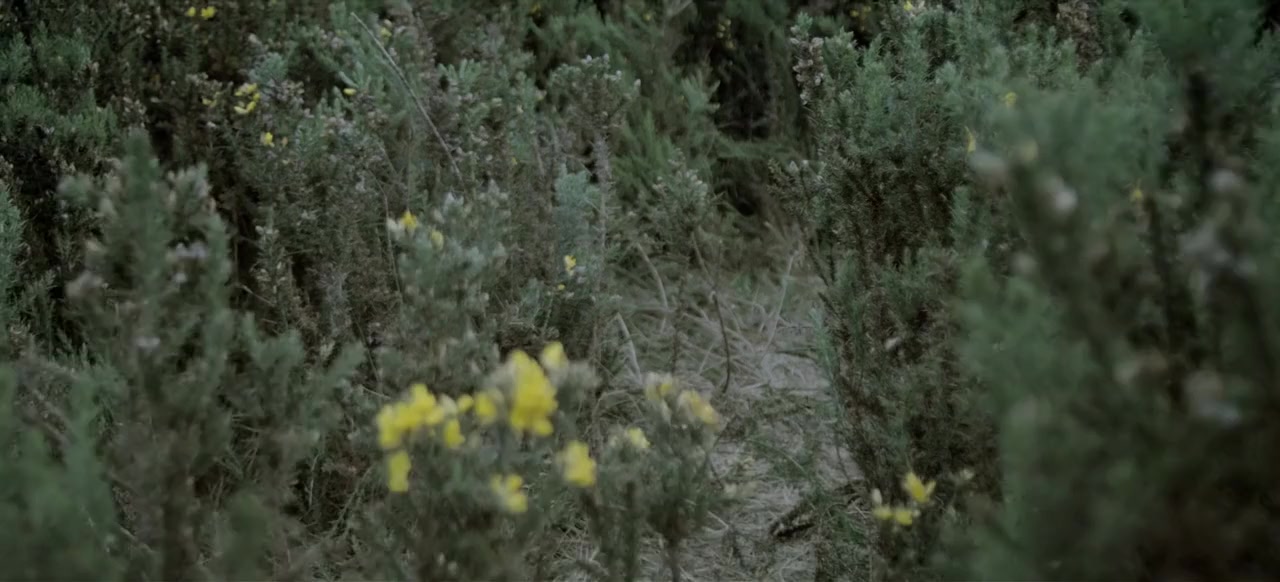 La Playa D.C. screenshot 2