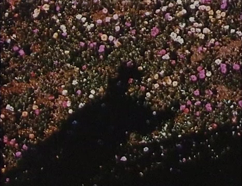 La villa Santo Sospir screenshot 1