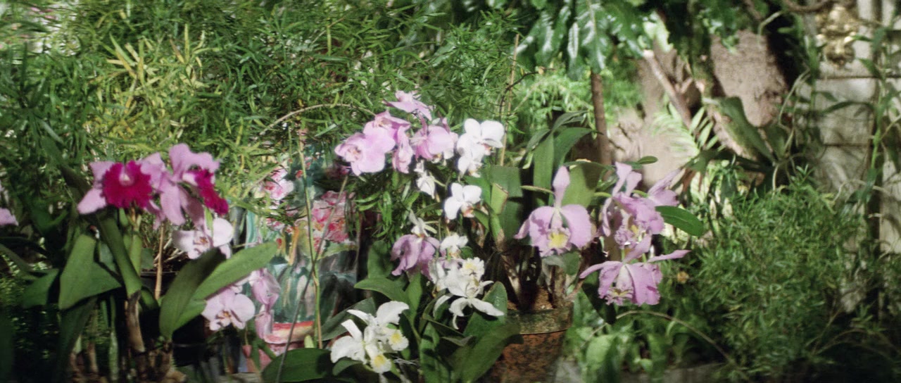 La zizanie screenshot 1
