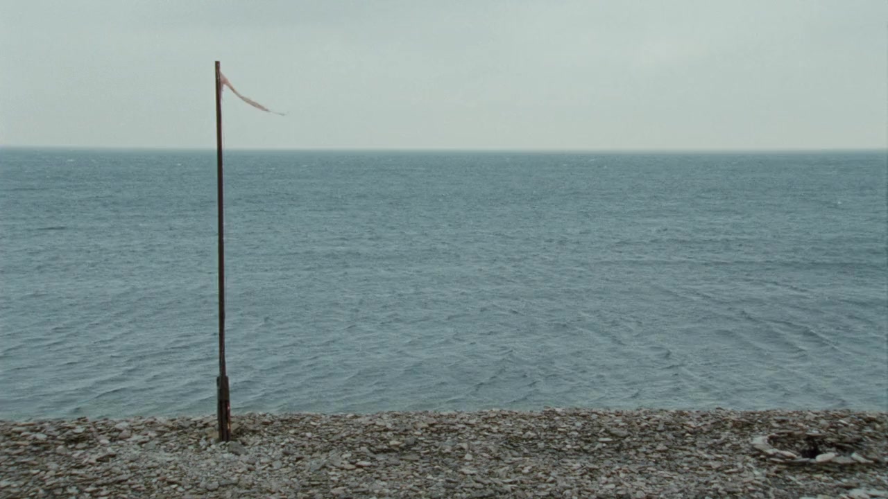 Labrador screenshot 3