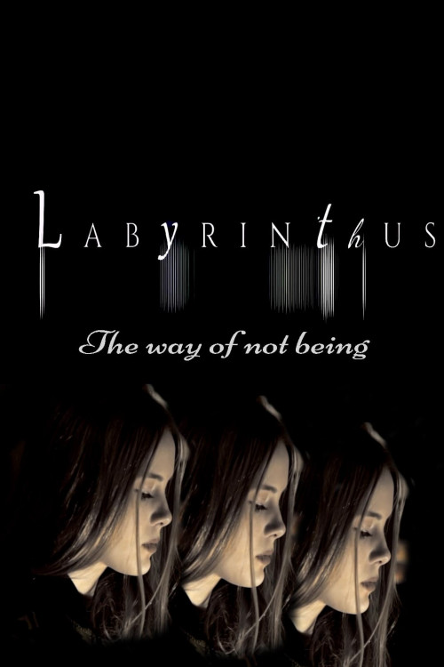 Labyrinthus: The Way of Not Being (2021) poster