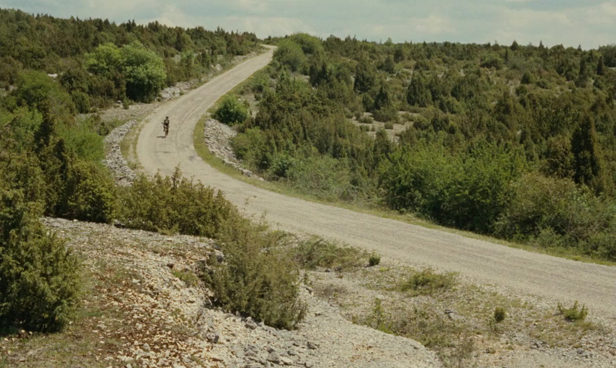 Lacombe Lucien screenshot 1