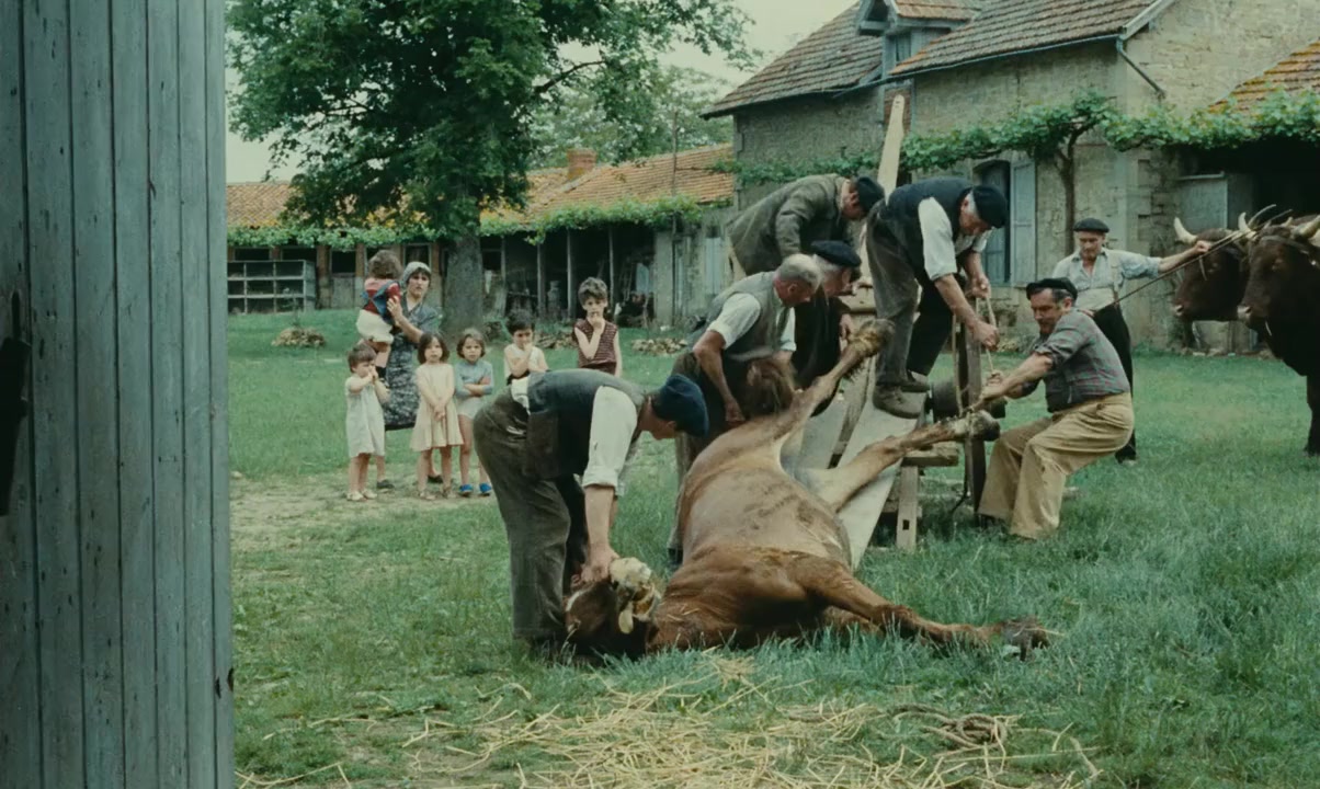 Lacombe Lucien screenshot 3
