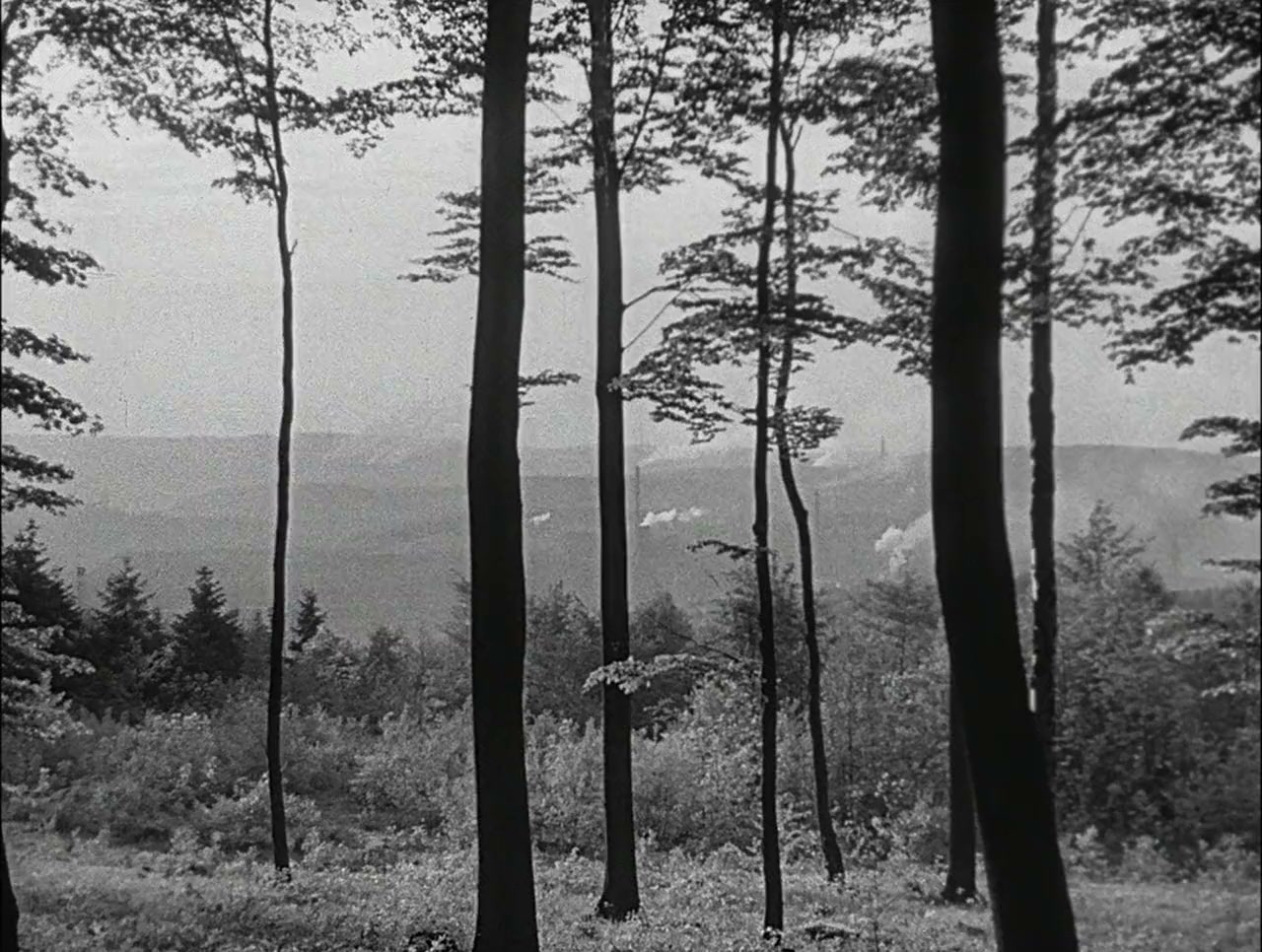 L'Amant de Lady Chatterley screenshot 2