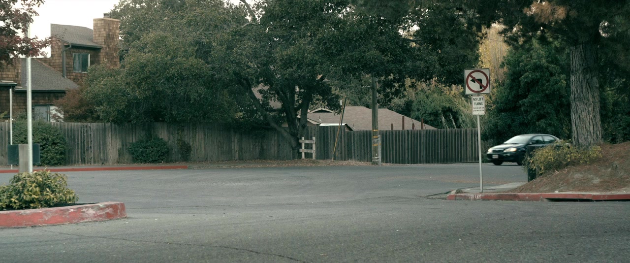 Lady Driver screenshot 2
