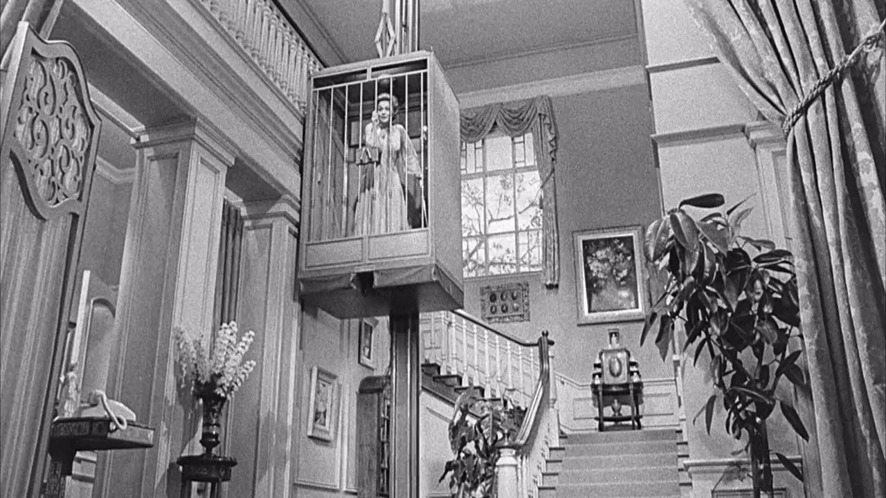 Lady in a Cage screenshot 1