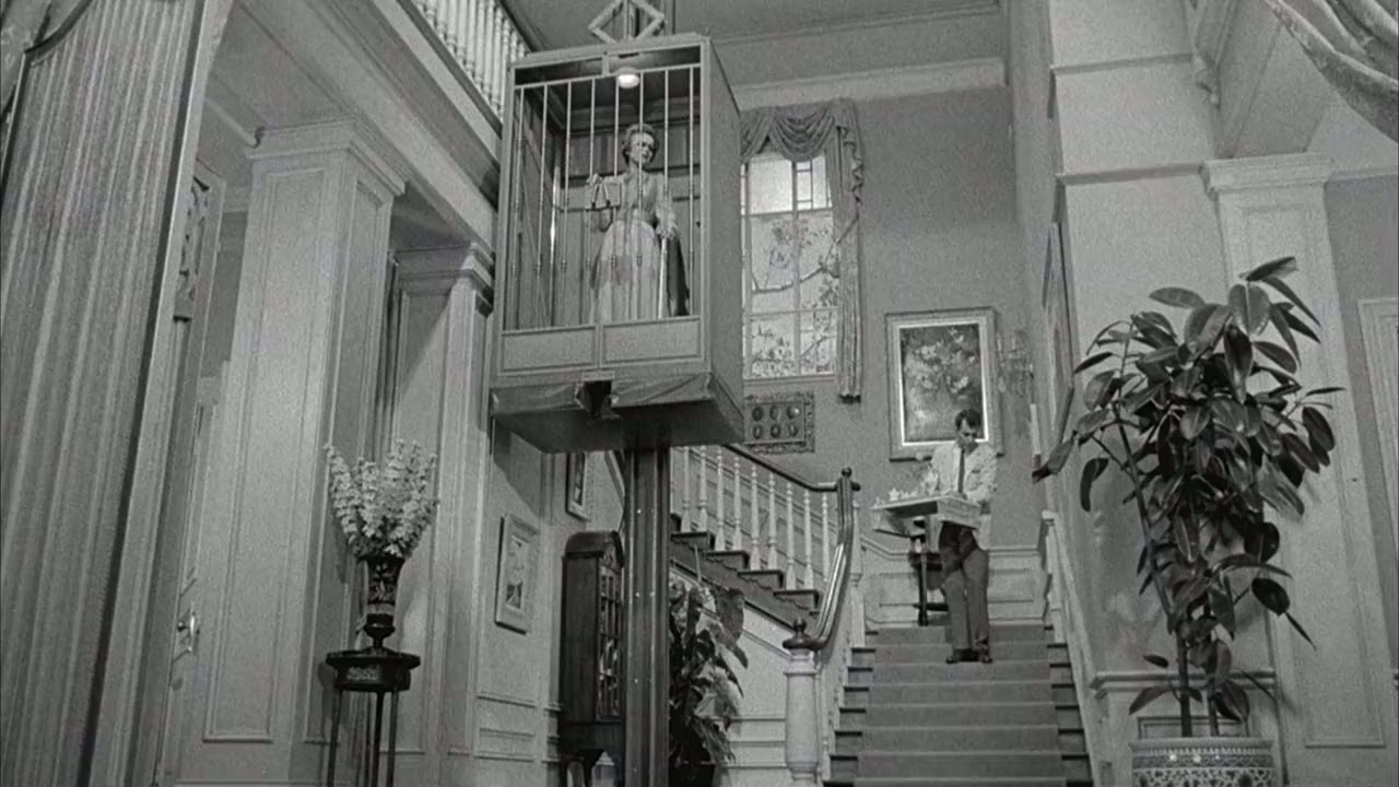 Lady in a Cage screenshot 3