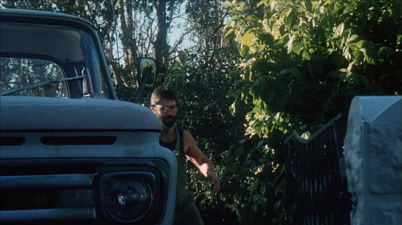 Lady, Stay Dead screenshot 2