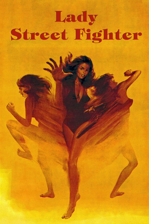 Lady Street Fighter (1980) poster