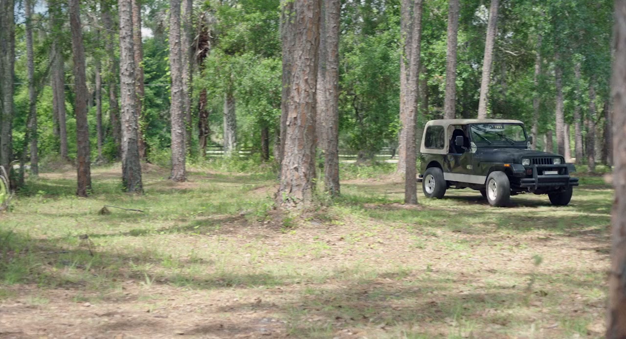 Gator Lake screenshot 1