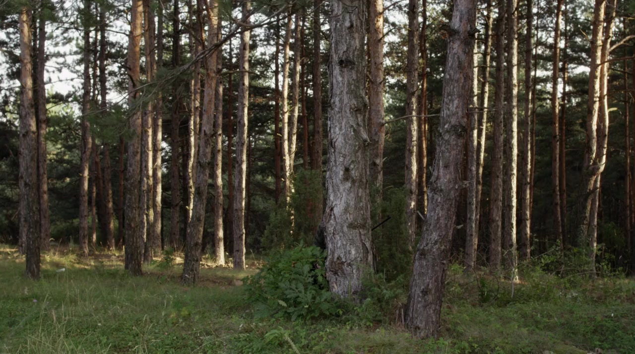 Lake Placid vs. Anaconda screenshot 1