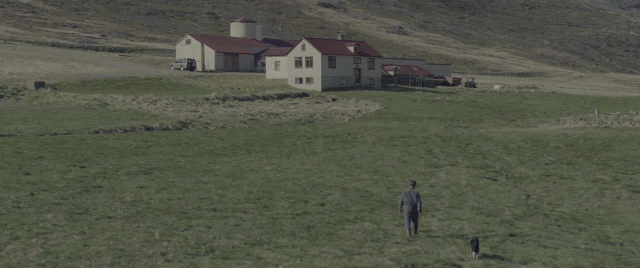 Dýrið screenshot 1