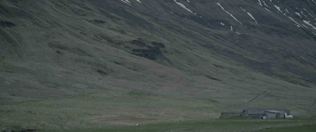 Dýrið screenshot 3