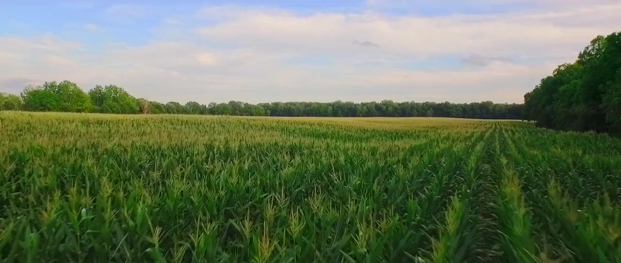 Land Grab screenshot 1
