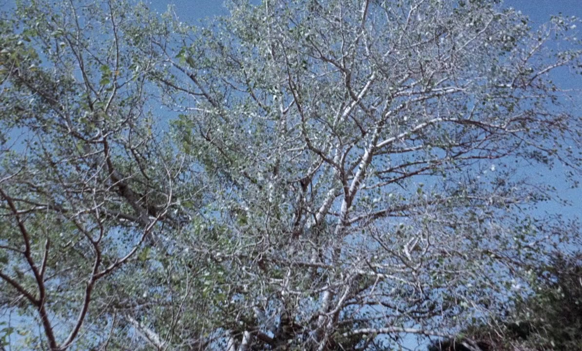 The Devil's Men screenshot 1