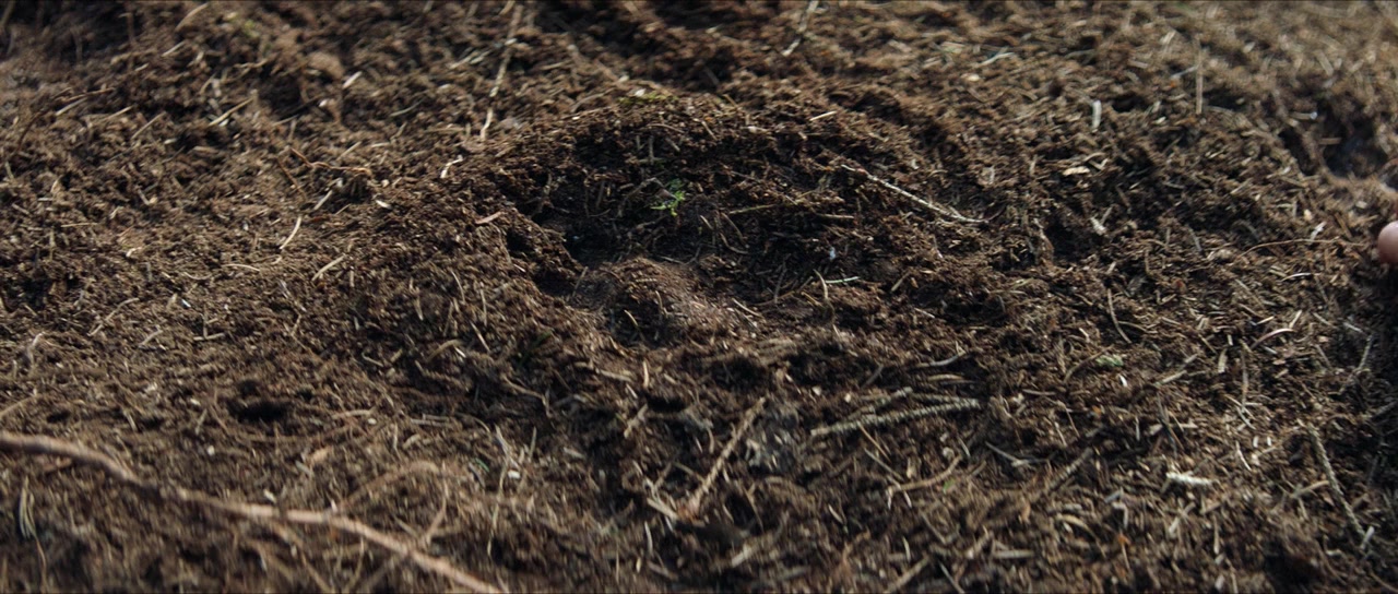 Landet af glas screenshot 1