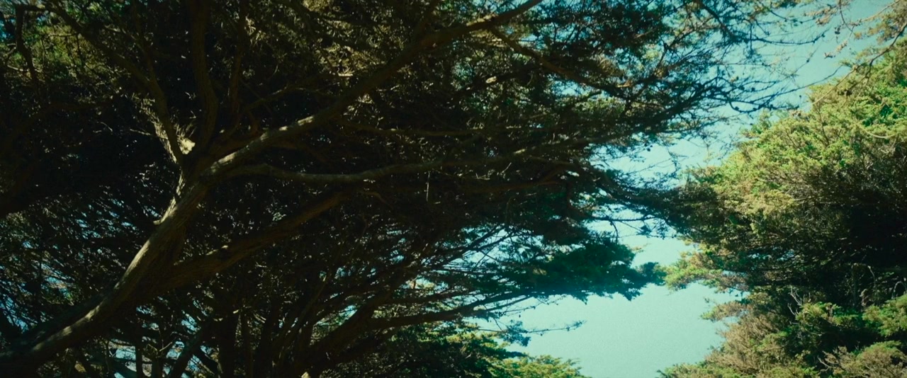Land's End screenshot 1