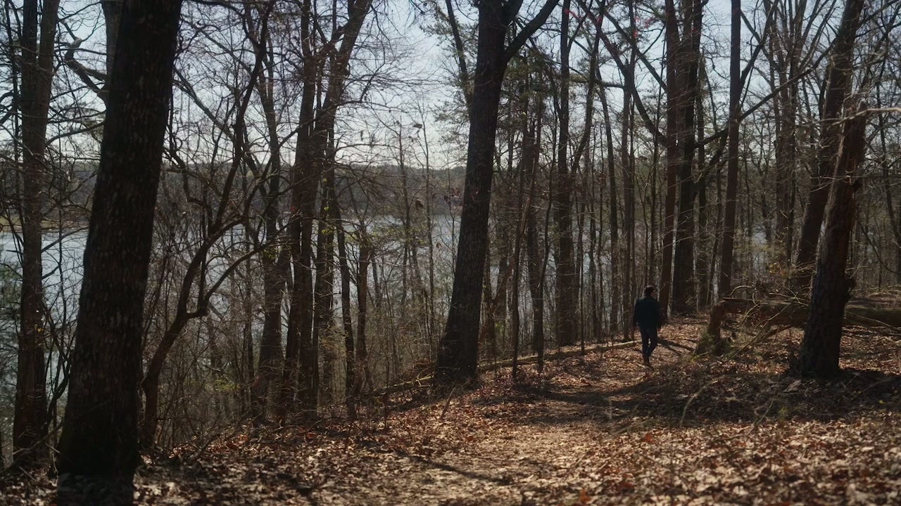 Lanier screenshot 1