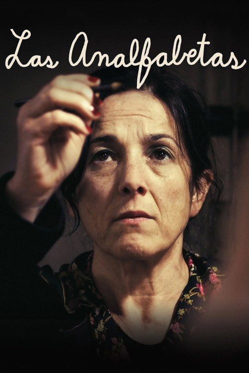 Las Analfabetas (2013) poster