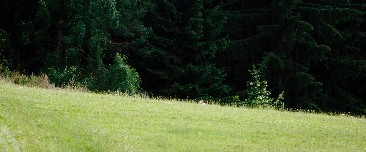 Lassie - Eine abenteuerliche Reise screenshot 2