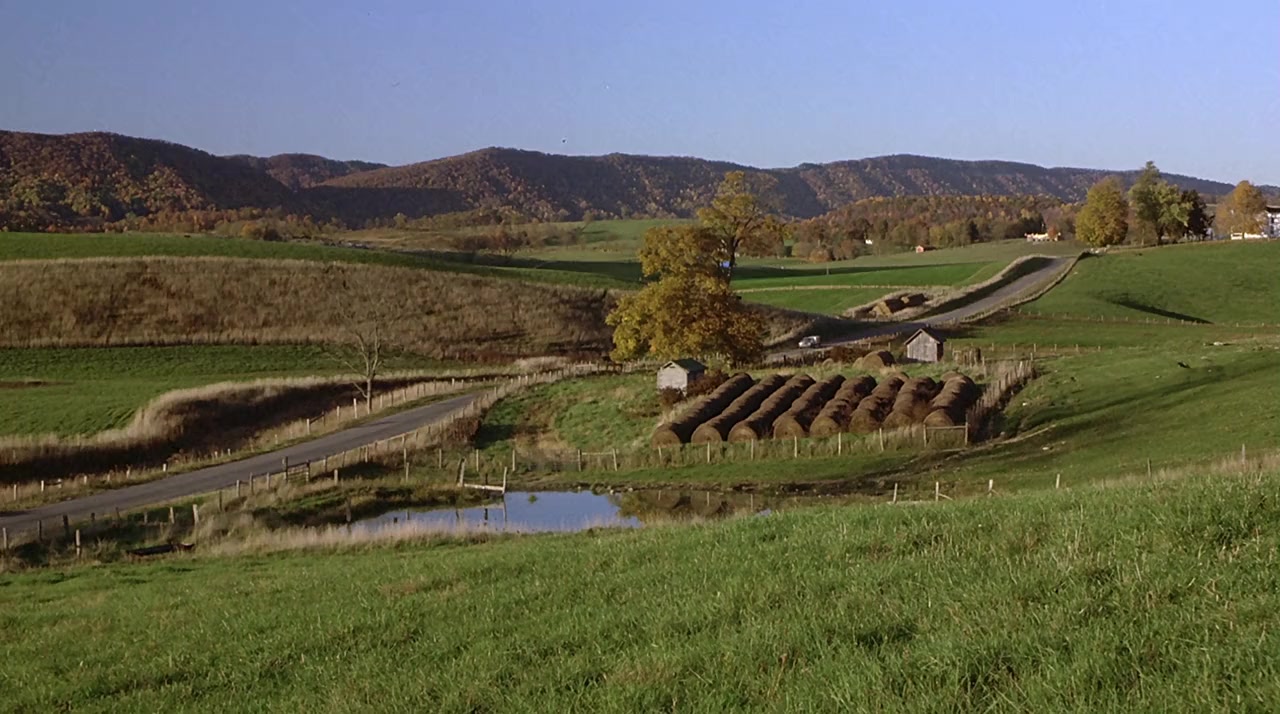 Lassie screenshot 2