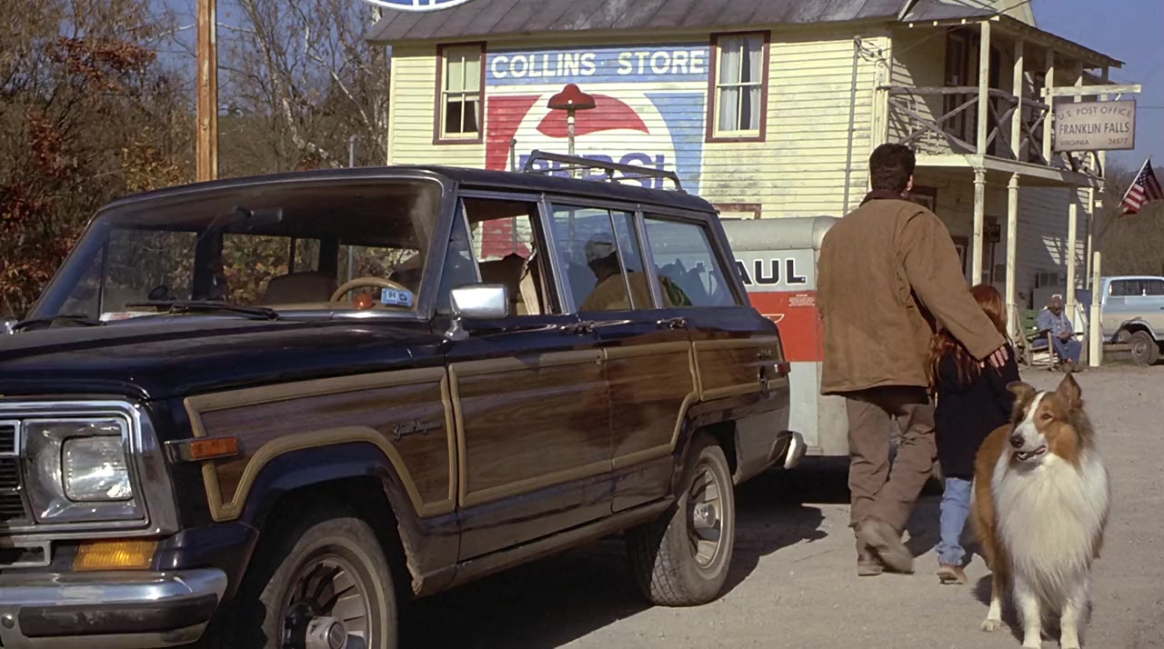 Lassie screenshot 3