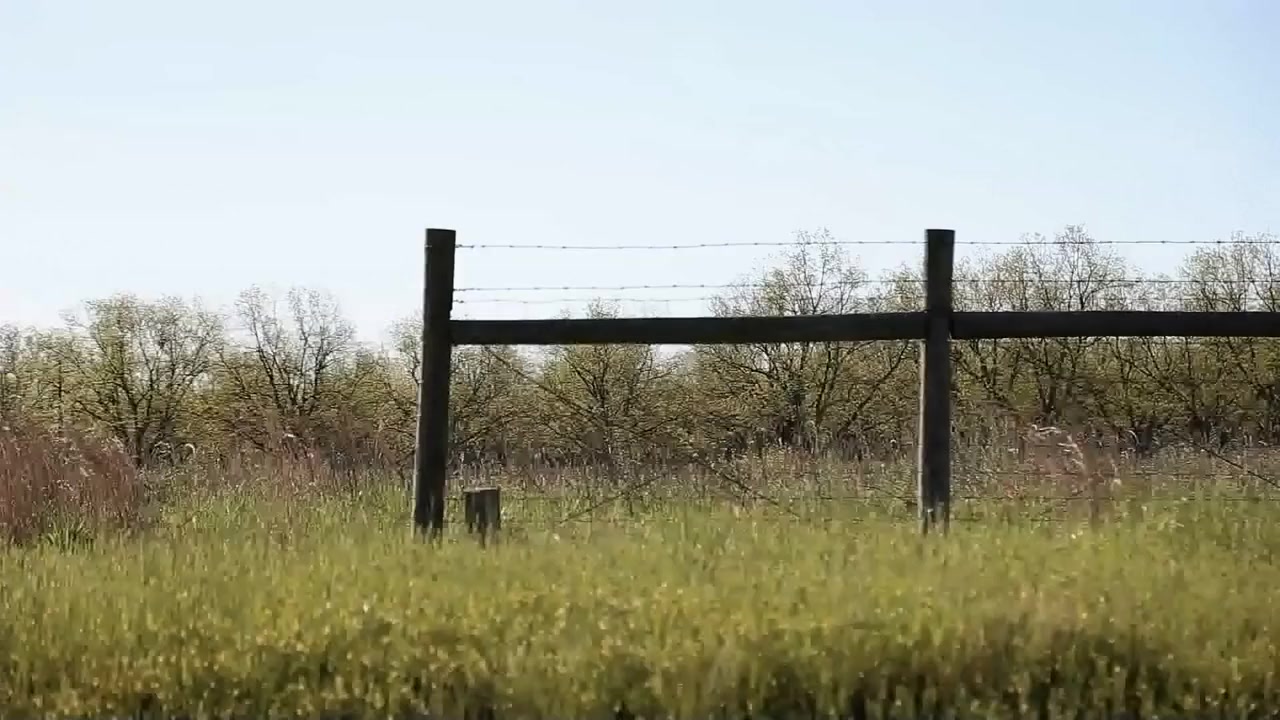 Last Words screenshot 1