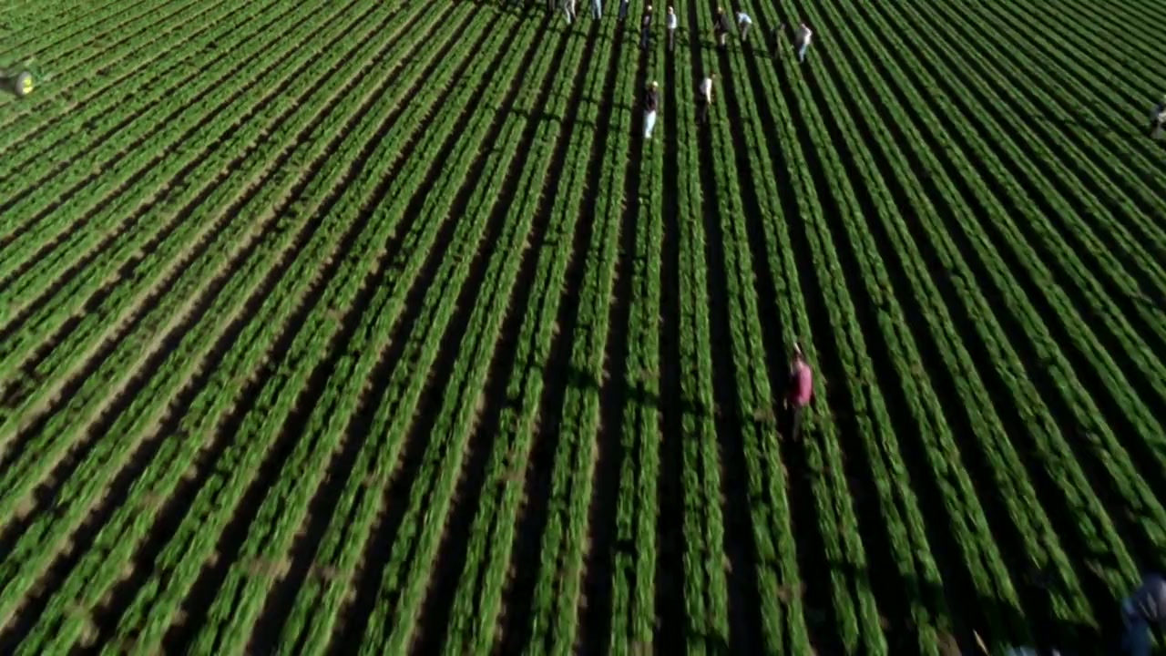 Last Call at the Oasis screenshot 3