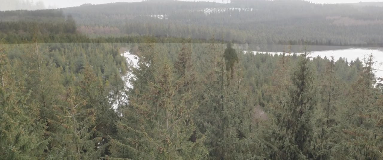 Last Call screenshot 1