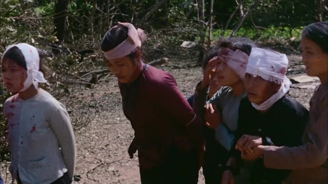 Last Days in Vietnam screenshot 2