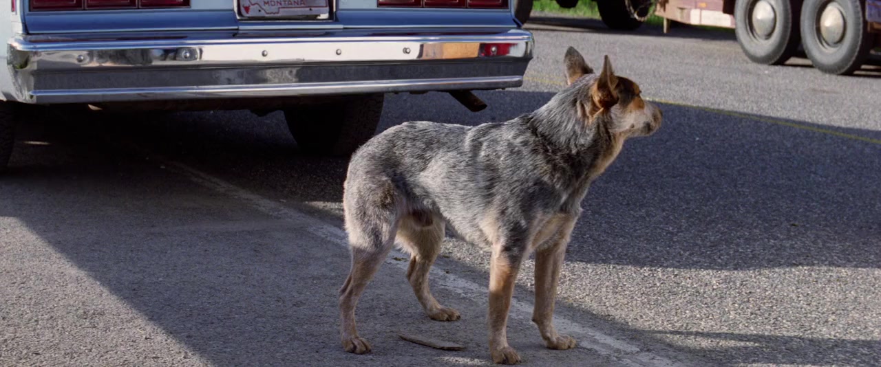 Last of the Dogmen screenshot 3